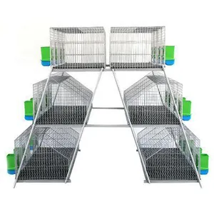 Cage d'élevage de volaille pour lapin, nouveauté, équipement entièrement automatique de bonne qualité, pour élevage de volaille