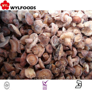 Buen Precio Venta al por mayor Seta Porcini IQF Entero/Cortes <span class=keywords><strong>Boletus</strong></span> <span class=keywords><strong>Edulis</strong></span> - Product Image 5