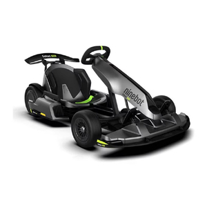 W Pro 2 Amusement Park Racing Track Rental 43Km/h Speed - Product Image 1