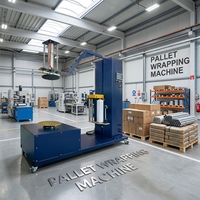 Application polyvalente pour l'emballage de boîtes en carton et de colis dans de multiples industries Machine d'emballage sans palette