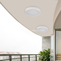 P2582 300mm Diamètre Led Plafonnier, Ip65 Étanche Plafonnier Intérieur, Approbation CE Rohs Monté en Surface