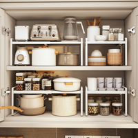 Organisateur d'étagère de cuisine réglable et extensible pour rangement sous l'évier, idéal pour casseroles, poêles, épices et vaisselle