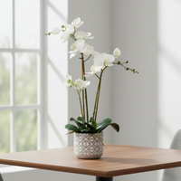 Fleur d'orchidée artificielle faite à la main gracieuse pour les arrangements de mariage élégants à la maison Fleur en pot de haute qualité pour l'obtention du diplôme