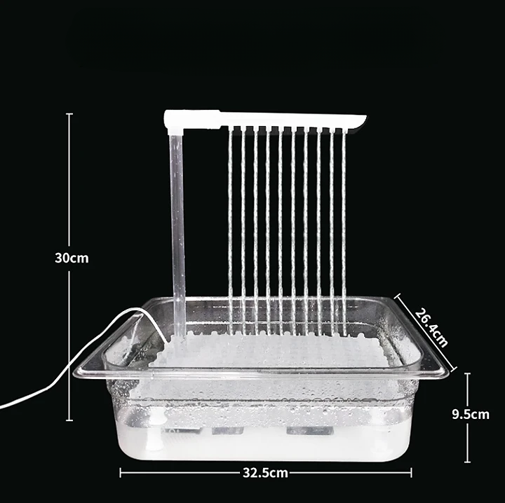 bird bath with fountain