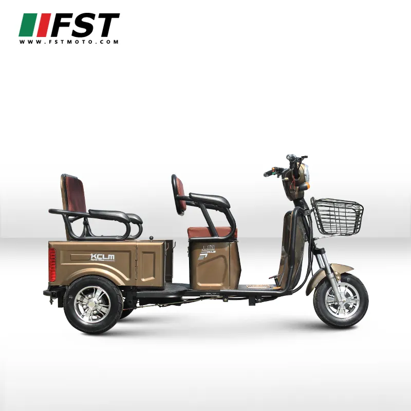 Chine 2020 nouveau design à la mode style usine d'exportation tricycle électrique
