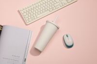 Bunter 700ml/24oz doppelwandiger Plastik becher Benutzer definiertes Logo Matte Plastik wasser flasche Bulk mit wieder verwendbarem Strohhalm und Deckel