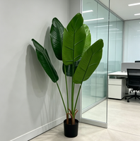 Chine Arbres Artificiels Cocos Extérieur Palmier Plantes Décorations pour La Maison avec Pot