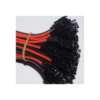 Bande Led personnalisée de haute qualité, borne Jst électrique à 2 broches, connecteur de câble électrique, prise de câblage, faisceau de câbles