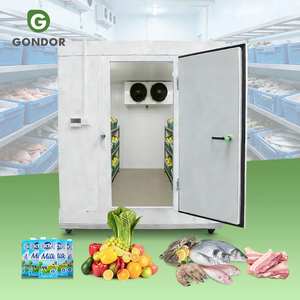 Contenedor Congelador Industrial para Patatas con Capacidad de Refrigeración Comercial de 10, 20, 30, 40, 50, 100, 300 Toneladas para Almacenamiento en Cámaras Frigoríficas - Product Image 1