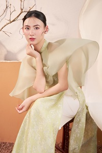 Robe Ao Dai en soie brodée vietnamienne moderne du Vietnam - Superposition d'épaule en mousseline transparente avec motif de rose KAD27 - Product Image 2