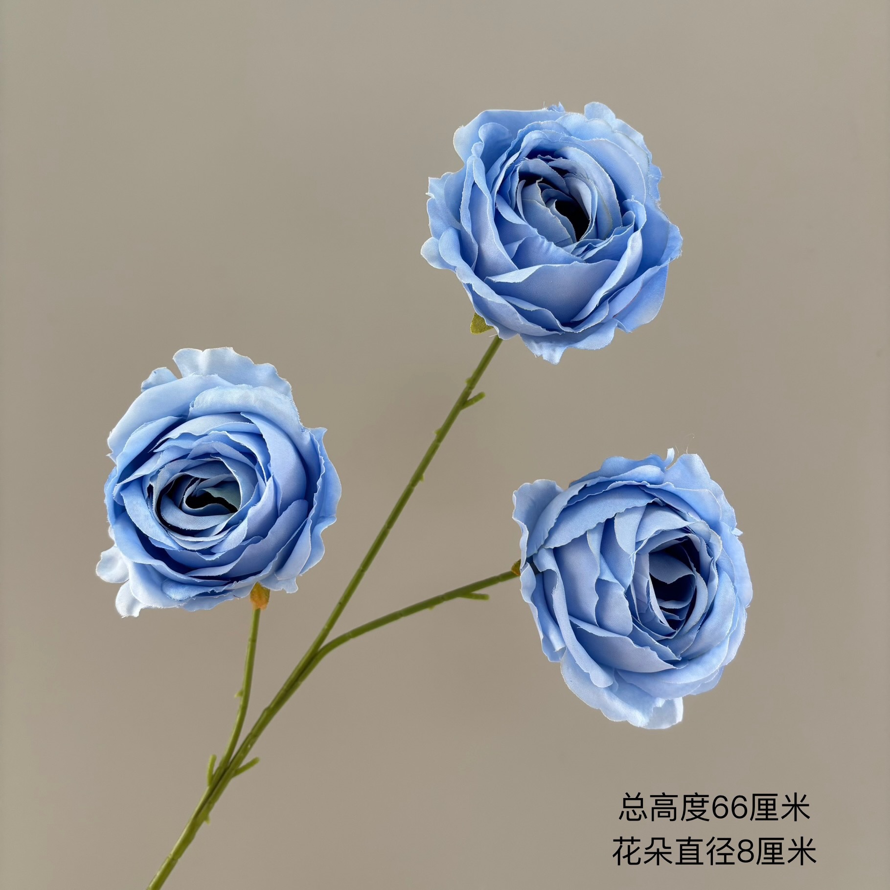 3 roses des montagnes enneigées