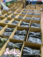 Vente en Gros de Vêtements pour Femmes Neufs Assortis – Lots en Gros de Tops et Robes de Marque, Stock 2025