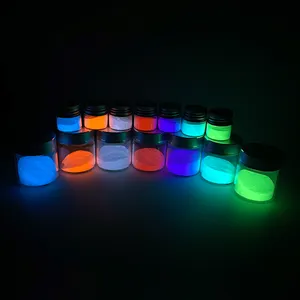 Acrilico glow in the dark mica powder long time luminescente incandescente pigmento in polvere glow pigment produttore per unghie