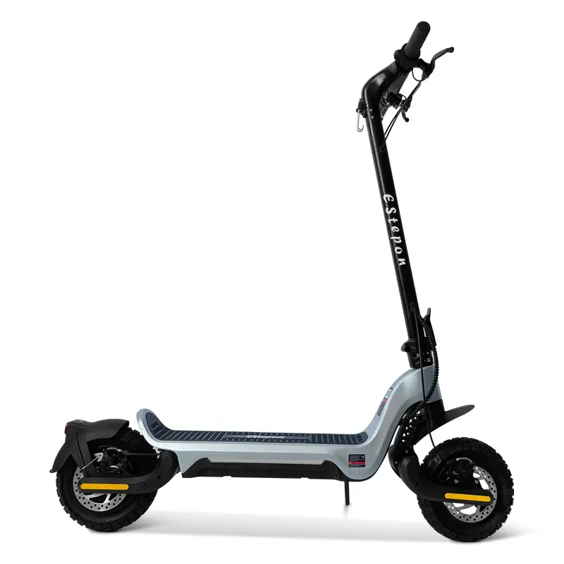 Magnesium alloy frame 10inch off road electric scooter australia 800w 1000w dual motor electric scooter