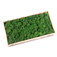 Mousse artificielle d'arbustes en plastique mousse fleurs herbe pour décoration murale d'extérieur avec faux