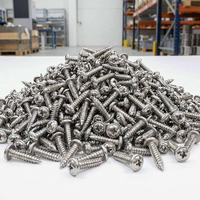 Vis autotaraudeuses à tête cruciforme Phillips en acier inoxydable M2 M3 M4 M5 M6 pour bois et métal
