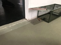 Piège à souris réutilisable, grand format, écologique, en métal massif, vert, toutes saisons, pour la capture vivante des souris