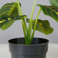 Plante artificielle feuille colorée plante en pot pour décoration intérieure de Table