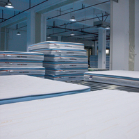Matelas à Ressorts Ensachés en Mousse Euro Top sur Mesure, Taille King Queen Full, Design Moderne, Lit Naturel de Luxe pour Hôtels, Fournisseur d'Usine