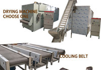 Machine industrielle de fabrication de pâte d'arachide, équipement complet de transformation du beurre d'arachide