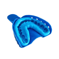 Pâte d'empreinte dentaire en silicone de qualité supérieure, blanche et bleue, pour blanchiment des dents, fournie directement par l'usine, pour cliniques