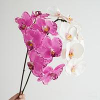 Desain Baru Bunga Anggrek Phalaenopsis Buatan Lateks Berkualitas Tinggi Mewah Sentuhan Nyata Anggrek Kupu-Kupu Wisuda Tahun Baru