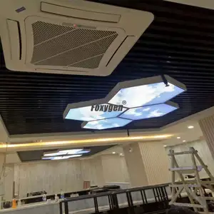 Groothandel plafond doos ontwerp-Super September Led Lichtbak Voor Winkelcentrum Plafond Ontwerp