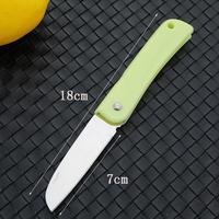 Couteau à fruits pliable en acier de 3 pouces, petit couteau à éplucher les légumes portable