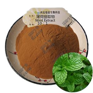 ペパーミントエキス有機ペパーミントリーフパウダー100% ピュアミントエキス - Product Image 3