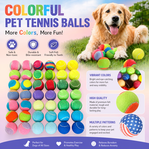 Custom Printing Modern Eco-Friendly Colorful Tennis <strong>Ball</strong> for <strong>Dog</strong> Durable Rubber Pet Chew Toy for Training and Playing - Product Image 3