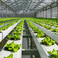 Système de culture hydroponique NFT avec pompe automatique et PVC de qualité alimentaire pour l'agriculture verticale et les serres