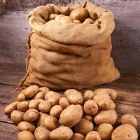 Sac de pommes de terre en toile de jute sacs de course grands sacs de jute naturels pour enfants adultes sac de fermeture d'épaule à poignée de corde écologique réutilisable