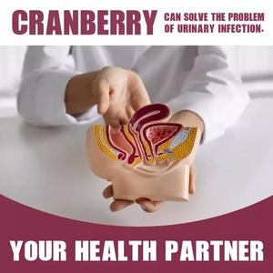 Không có đường <span class=keywords><strong>Cranberry</strong></span> Gummies 1000mg | tuyệt vời nếm <span class=keywords><strong>Cranberry</strong></span> bổ sung | cho sức khỏe đường tiết niệu, bàng quang & thận hỗ trợ - Product Image 3