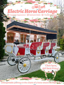 Carruajes de Caballos de Tres Filas Estilo Europeo para Turismo, Carruajes Eléctricos Tirados por Caballos y Carruajes Reales para Bodas en Venta - Product Image 4