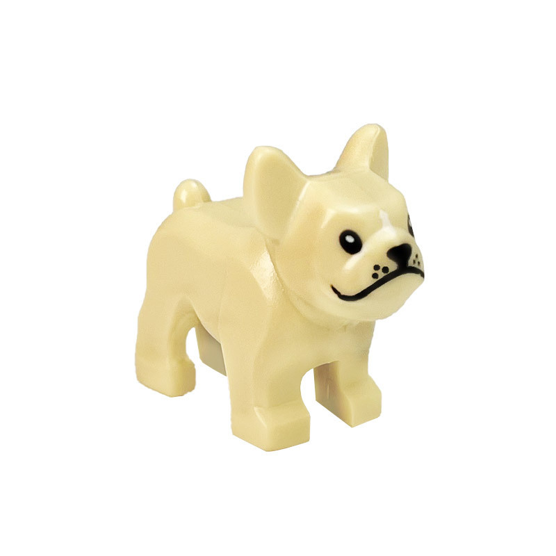 1 bouledogue français beige