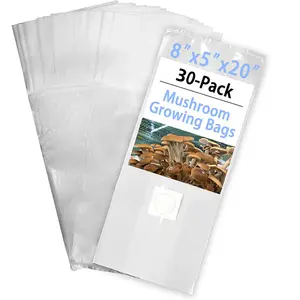 mycelium cultivation Mycology Grow Extra Thick Polypropylene 2 pound whole grain spawn bags