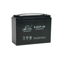Batterie VRLA GEL 12V 40Ah 6-EVF-40 à décharge profonde pour transpalette électrique, voiturette de golf et équipement d'entrepôt