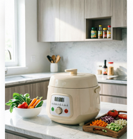 Cuisinière à riz électrique multifonctionnelle mini 2,5 L 600 W pour la vente en gros PC50-E