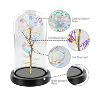 Vente en gros Cloche de roses en verre Mini dôme de roses éternelles conservées Fleur dans un dôme en verre avec lumières LED