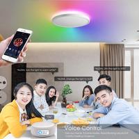 TSINYE rond blanc gradation en continu 3000-6500k rétro-éclairage Rgb atmosphère lampe multifonction 24w Led plafonnier pour la maison