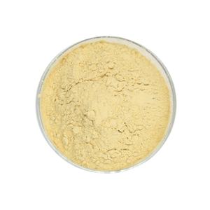 ブラウン海藻エキス10% <span class=keywords><strong>Fucoidan</strong></span>パウダーメーカー卸売価格 - Product Image 1