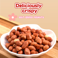 20g Mini Bolsa de Cacahuetes Tostados con Sal, Premium, Tostados en Seco, Ligeramente Salados, Crujientes, Snack Diario, Suministro Directo de Fábrica OEM