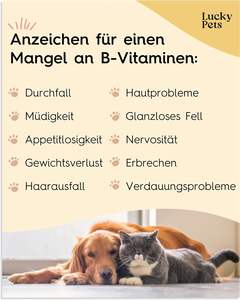 Complesso di Vitamina <span class=keywords><strong>B</strong></span> per Cani 140 Compresse 70g Alta Dose per Nervi Forti e Sistema Immunitario Produttore Cinese Lucky Pets - Product Image 2