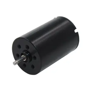 Moteur à brosse électrique personnalisé, 3-17Mm, haute Rpm 12V Dc, pour Servo-robot, tatouage et ongles