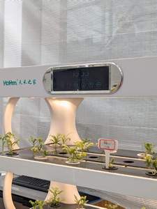 Nouvelle ferme hydroponique verticale intelligente pour la maison-Système de culture automatisé de jardinage <span class=keywords><strong>d</strong></span>'<span class=keywords><strong>intérieur</strong></span> - Product Image 4