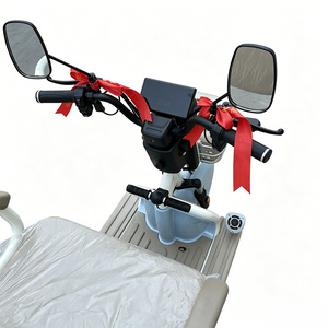 Tricycle électrique 48V 800W 20AH à plateau ouvert <span class=keywords><strong>pour</strong></span> adultes, personnes âgées et handicapées – Vélo à trois roues sans obstacle <span class=keywords><strong>pour</strong></span> adultes - Product Image 2