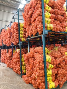 Nova Colheita Fresca Cebolas Amarelas 20kg Exportação Da China Cebolas Vermelhas e Cebolas Melhor Preço Por Tonelada - Product Image 4