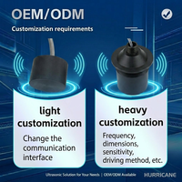 Transducteur ultrasonique subaquatique de type insertion 1 MHz avec indice de protection IP68, boîtier en acier inoxydable 304 pour débitmètre et mesure de distance sous-marine