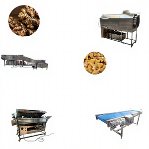 Automatic <strong>Ginger</strong> Cleaning &amp; Processing Machine 380V 1-3 Ton/Hour Capacity - Product Image 1