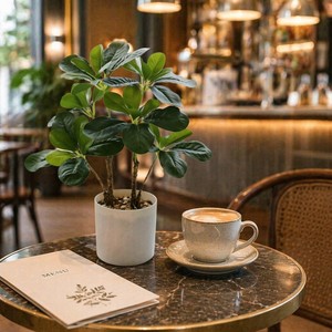 Mini Planta Artificial de Pachira Aquatica en Maceta, Árbol del <span class=keywords><strong>Dinero</strong></span> Verde Realista con Maceta Blanca para Decoración de Oficina, Hogar y Mesa, Venta al por Mayor - Product Image 2